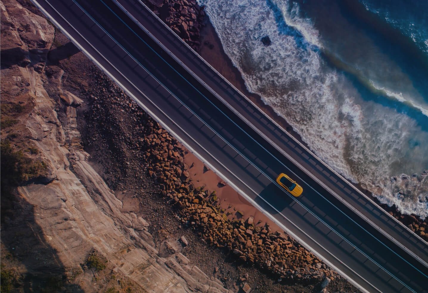 Curiosity drives evolution